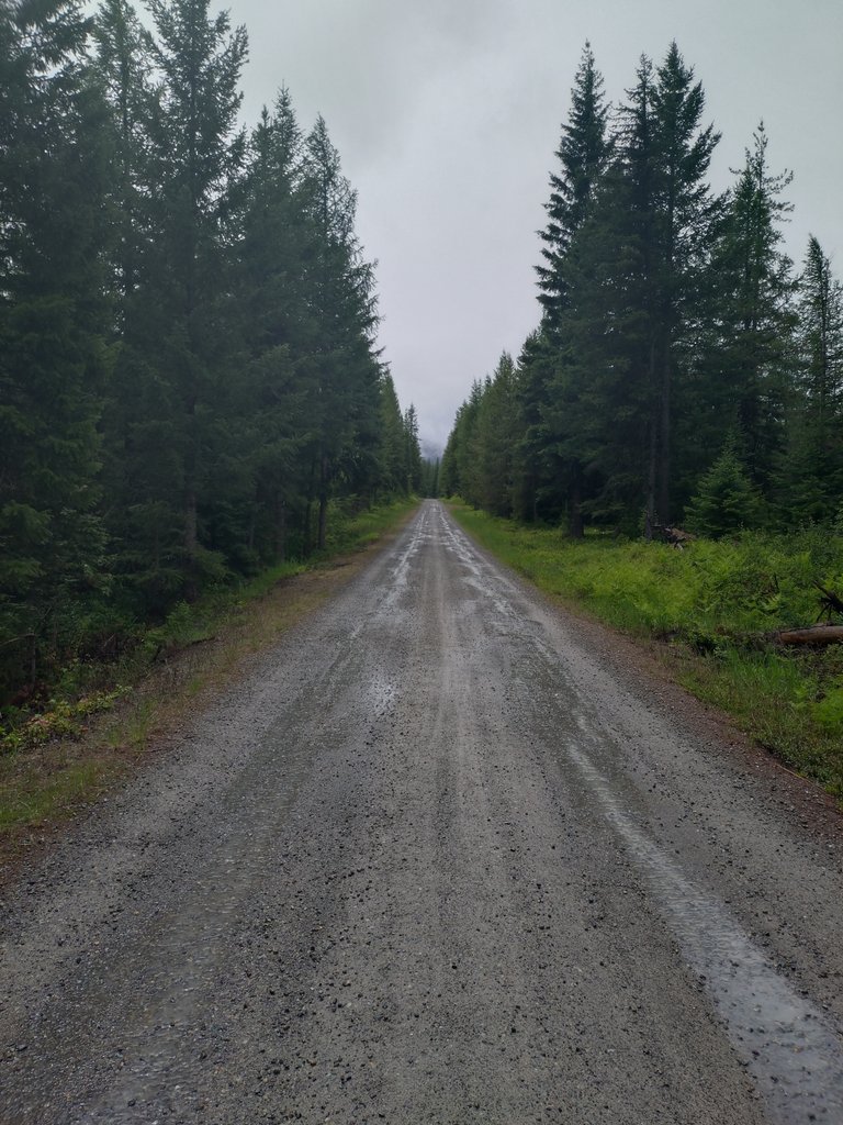 První nekonečná cesta na Tour Divide.